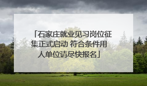 石家庄就业见习岗位征集正式启动 符合条件用人单位请尽快报名