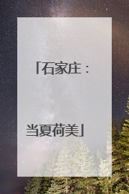 石家庄：当夏荷美