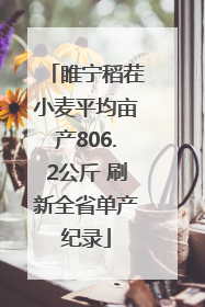 睢宁稻茬小麦平均亩产806.2公斤 刷新全省单产纪录