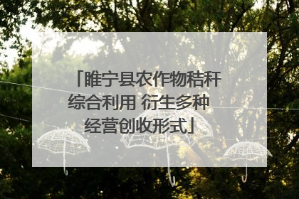 睢宁县农作物秸秆综合利用 衍生多种经营创收形式