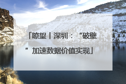 瞭望丨深圳：“破壁”加速数据价值实现