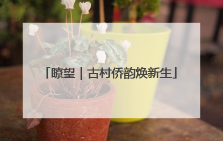 瞭望｜古村侨韵焕新生