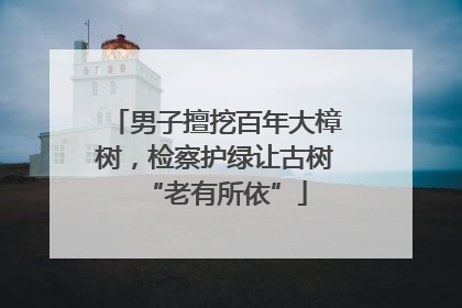 男子擅挖百年大樟树，检察护绿让古树“老有所依”