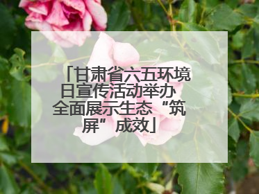 甘肃省六五环境日宣传活动举办 全面展示生态“筑屏”成效