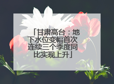 甘肃高台：地下水位变幅首次连续三个季度同比实现上升