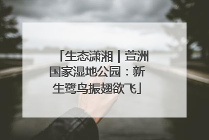 生态潇湘｜萱洲国家湿地公园：新生鹭鸟振翅欲飞