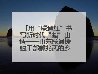 用“联通红”书写新时代“疆”山情——山东联通援疆干部郝兆武的乡村振兴答卷