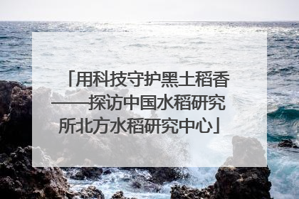用科技守护黑土稻香——探访中国水稻研究所北方水稻研究中心