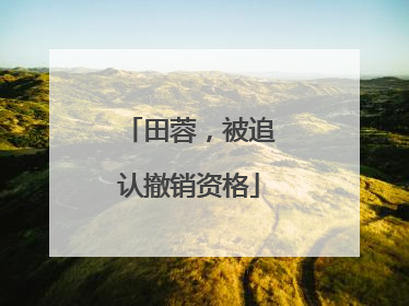 田蓉，被追认撤销资格