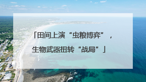 田间上演“虫粮博弈”，生物武器扭转“战局”
