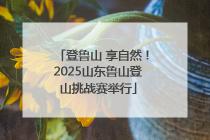 登鲁山 享自然！2025山东鲁山登山挑战赛举行