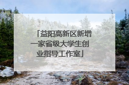 益阳高新区新增一家省级大学生创业指导工作室