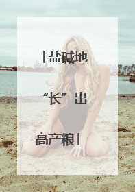 盐碱地“长”出高产粮
