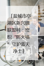 盐城市亭湖区新兴镇联盟村：密织“防火墙”守护蓝天净土