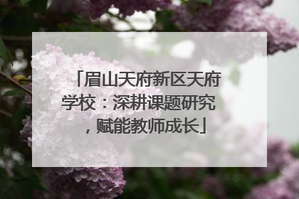 眉山天府新区天府学校：深耕课题研究，赋能教师成长