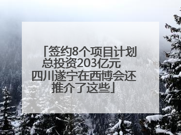 签约8个项目计划总投资203亿元 四川遂宁在西博会还推介了这些