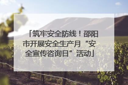 筑牢安全防线！邵阳市开展安全生产月“安全宣传咨询日”活动