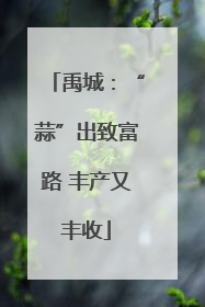 禹城：“蒜”出致富路 丰产又丰收