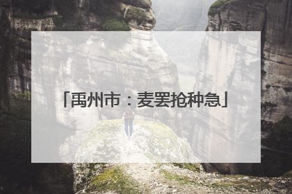 禹州市：麦罢抢种急