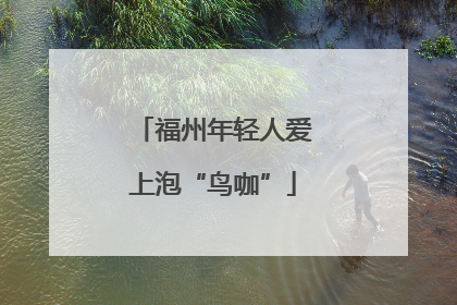 福州年轻人爱上泡“鸟咖”