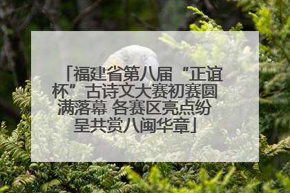 福建省第八届“正谊杯”古诗文大赛初赛圆满落幕 各赛区亮点纷呈共赏八闽华章