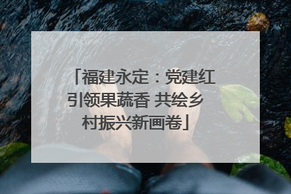 福建永定：党建红引领果蔬香 共绘乡村振兴新画卷