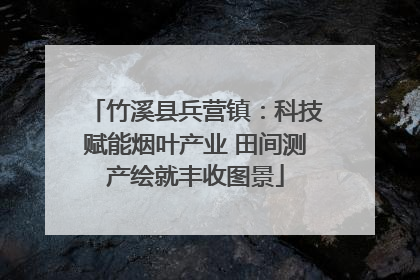 竹溪县兵营镇：科技赋能烟叶产业 田间测产绘就丰收图景