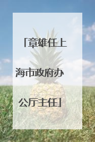 章雄任上海市政府办公厅主任