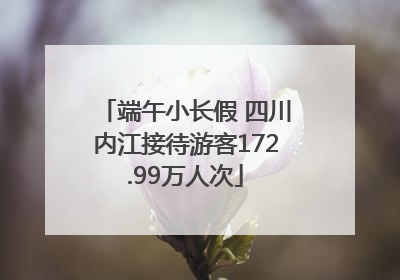 端午小长假 四川内江接待游客172.99万人次