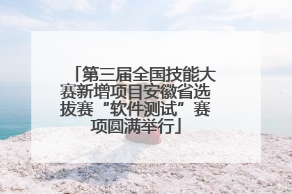 第三届全国技能大赛新增项目安徽省选拔赛“软件测试”赛项圆满举行