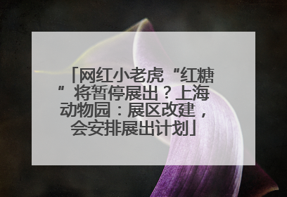 网红小老虎“红糖”将暂停展出？上海动物园：展区改建，会安排展出计划