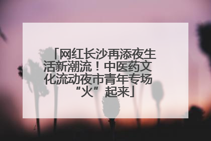 网红长沙再添夜生活新潮流！中医药文化流动夜市青年专场“火”起来