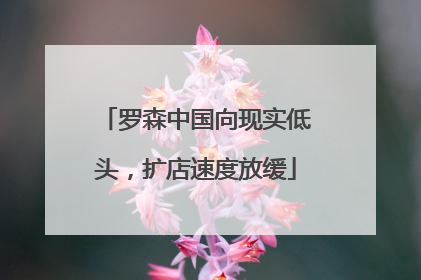 罗森中国向现实低头，扩店速度放缓