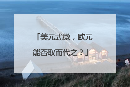 美元式微，欧元能否取而代之？