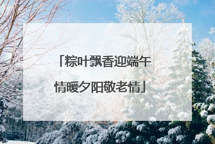 粽叶飘香迎端午 情暖夕阳敬老情
