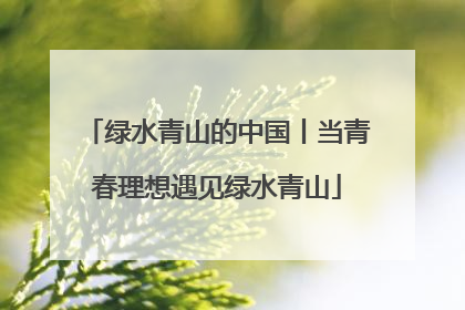 绿水青山的中国丨当青春理想遇见绿水青山
