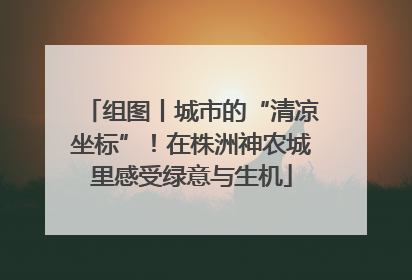 组图丨城市的“清凉坐标”！在株洲神农城里感受绿意与生机