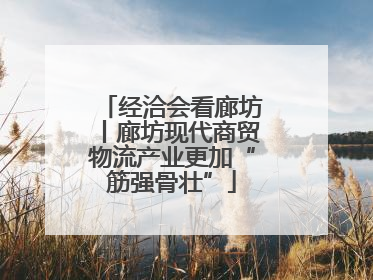 经洽会看廊坊丨廊坊现代商贸物流产业更加“筋强骨壮”