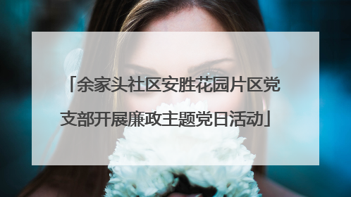 余家头社区安胜花园片区党支部开展廉政主题党日活动