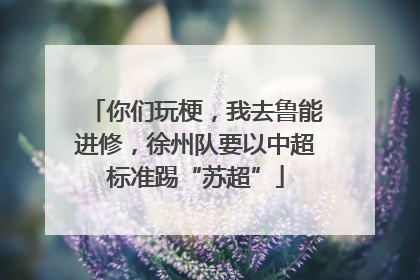 你们玩梗，我去鲁能进修，徐州队要以中超标准踢“苏超”