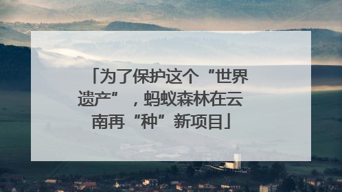 为了保护这个“世界遗产”，蚂蚁森林在云南再“种”新项目