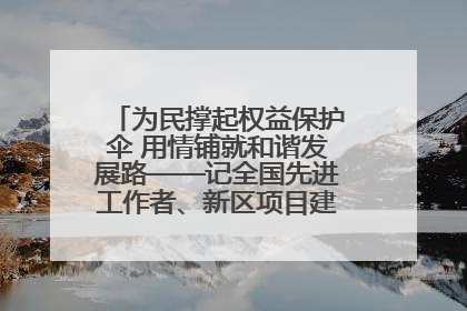 为民撑起权益保护伞 用情铺就和谐发展路——记全国先进工作者、新区项目建设中心干部卢小勇