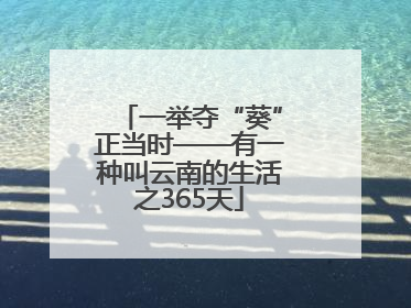 一举夺“葵”正当时——有一种叫云南的生活之365天