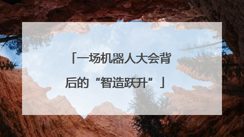 一场机器人大会背后的“智造跃升”