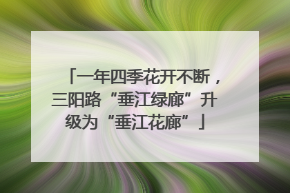 一年四季花开不断，三阳路“垂江绿廊”升级为“垂江花廊”