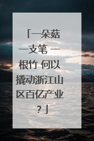 一朵菇 一支笔 一根竹 何以撬动浙江山区百亿产业？