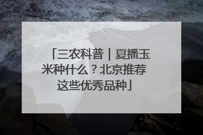 三农科普｜夏播玉米种什么？北京推荐这些优秀品种