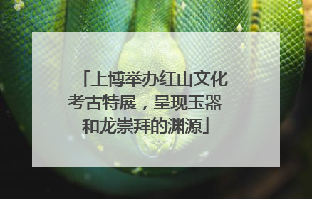 上博举办红山文化考古特展，呈现玉器和龙崇拜的渊源
