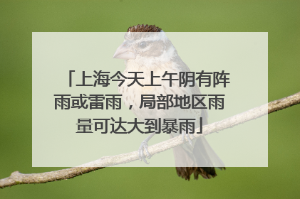 上海今天上午阴有阵雨或雷雨，局部地区雨量可达大到暴雨