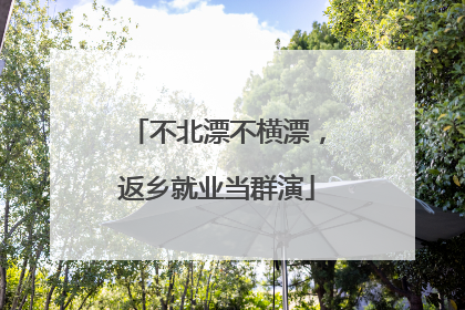 不北漂不横漂，返乡就业当群演